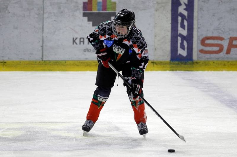 Ice Hockey. PLHK. Naprzod Janow - Atomowki Tychy. 03.02.2018