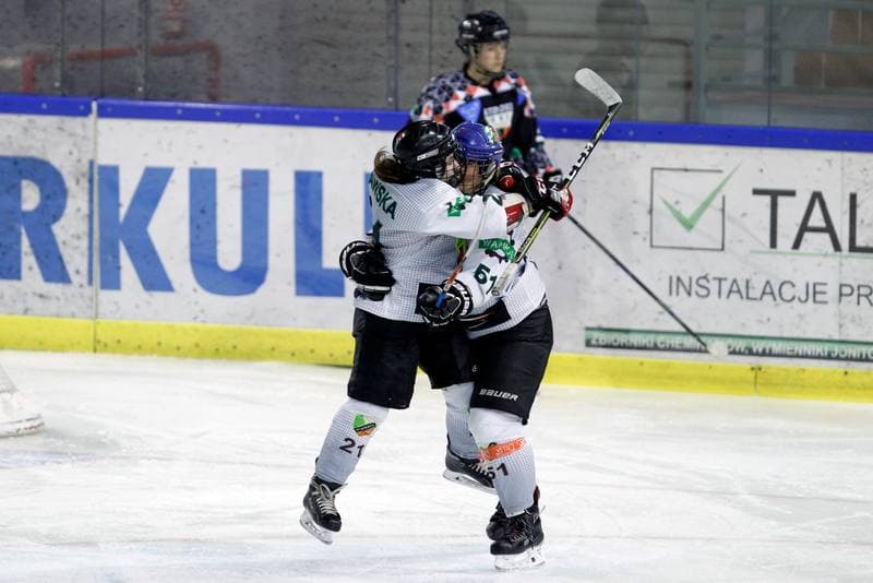 Ice Hockey. PLHK. Naprzod Janow - Atomowki Tychy. 03.02.2018