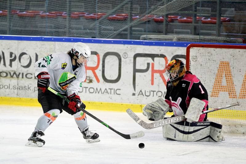Ice Hockey. PLHK. Naprzod Janow - Kozice Poznan. 11.02.2018
