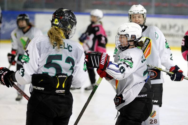 Ice Hockey. PLHK. Naprzod Janow - Kozice Poznan. 11.02.2018