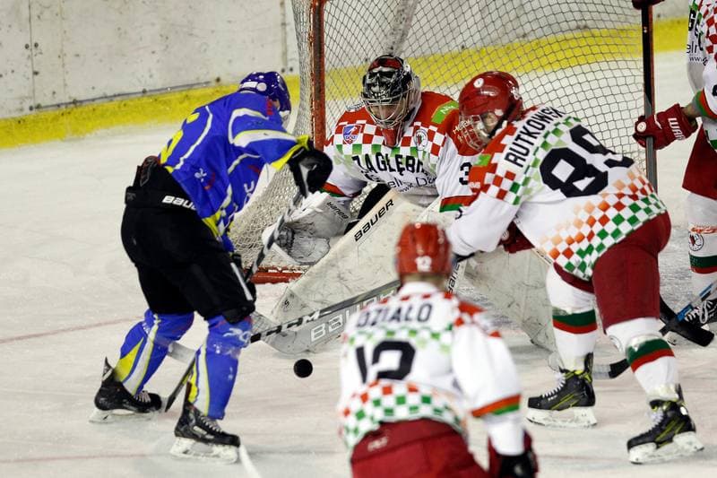 Ice Hockey. Polska Hokej Liga. Zaglebie Sosnowiec - Orlik Opole. 17.02.2019