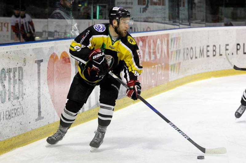 Ice Hockey. Polska Hokej Liga. GKS Tychy - JKH GKS Jastrzebie. 17.02.2017