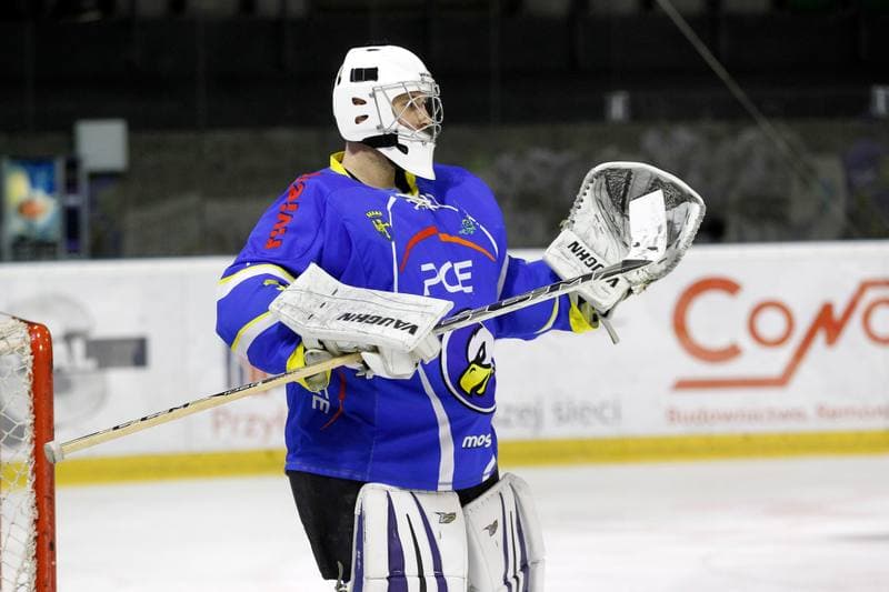 Ice Hockey. Polska Hokej Liga. GKS Tychy - Orlik Opole. 13.01.2017