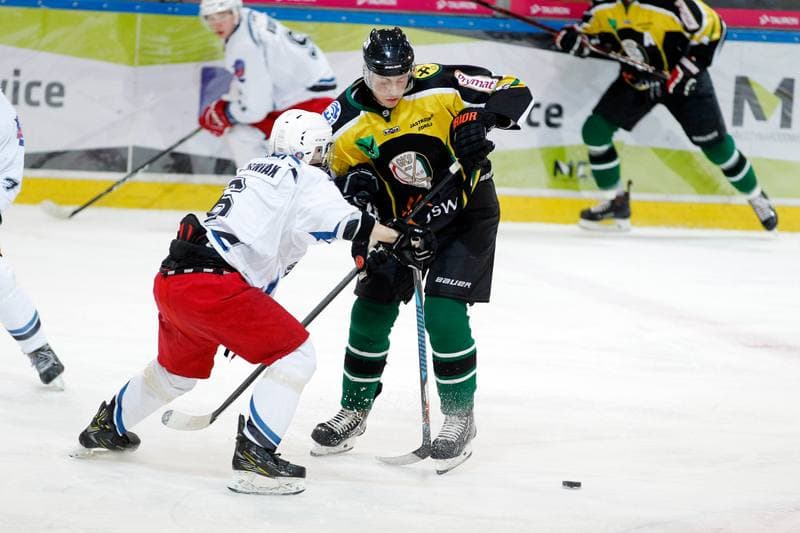 Ice Hockey. Polska Hokej Liga. SMS PZHL Katowice - JKH GKS Jastrzebie. 31.10.2017