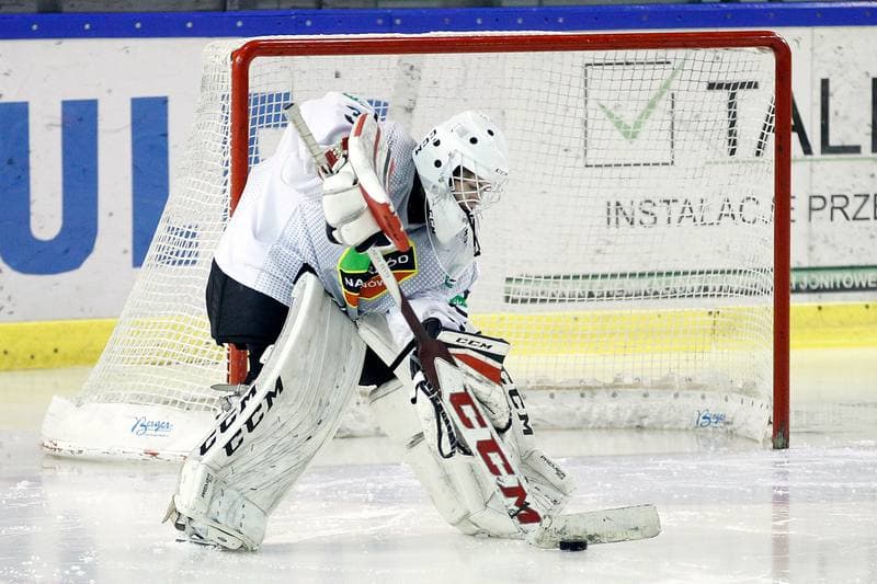 Ice Hockey. PLHK. Naprzod Janow - Unia Oswiecim. 20.01.2018
