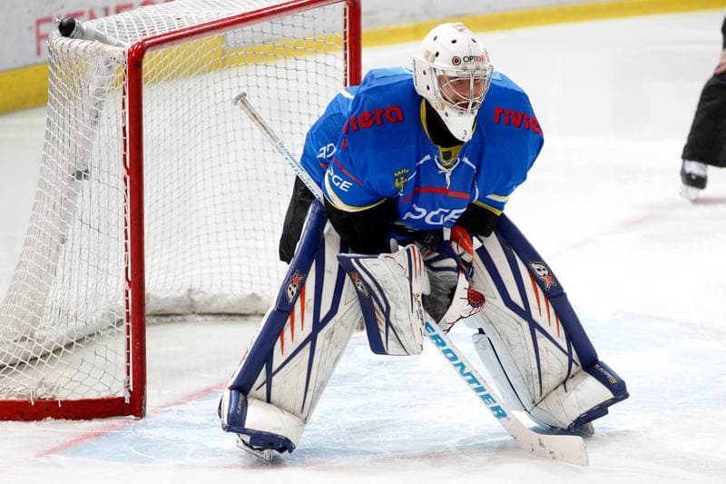 Ice Hockey. Tauron Hokej Liga. Tauron KH GKS Katowice - Orlik Opole. 26.01.2018