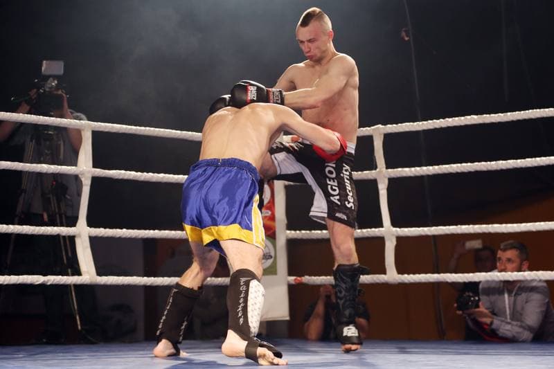 Kickboxing. WKN Challenge. Gala. 12.05.2017