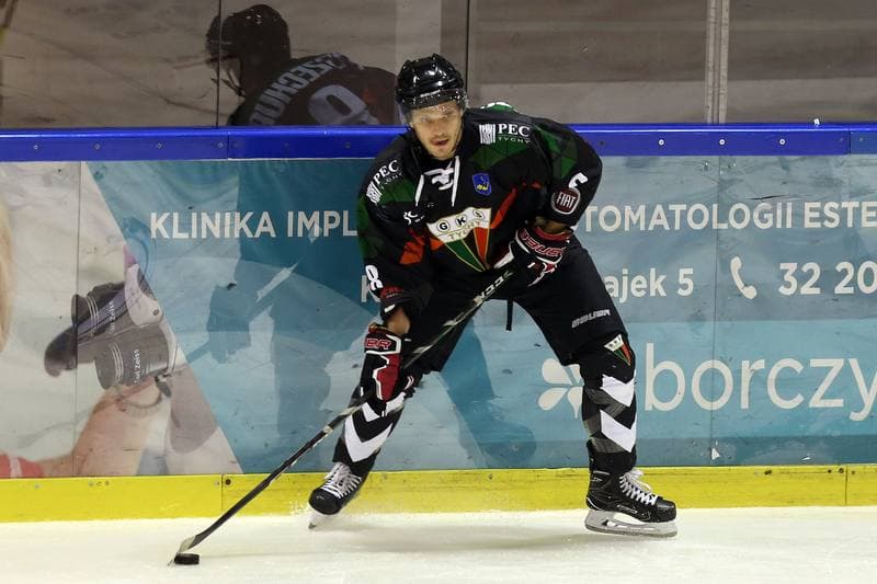 Ice Hockey. Polska Hokej Liga. Naprzod Janow - GKS Tychy. 15.10.2017