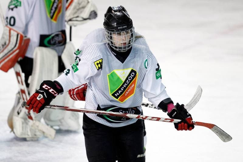 Ice Hockey. PLHK. Naprzod Janow - Unia Oswiecim. 20.01.2018
