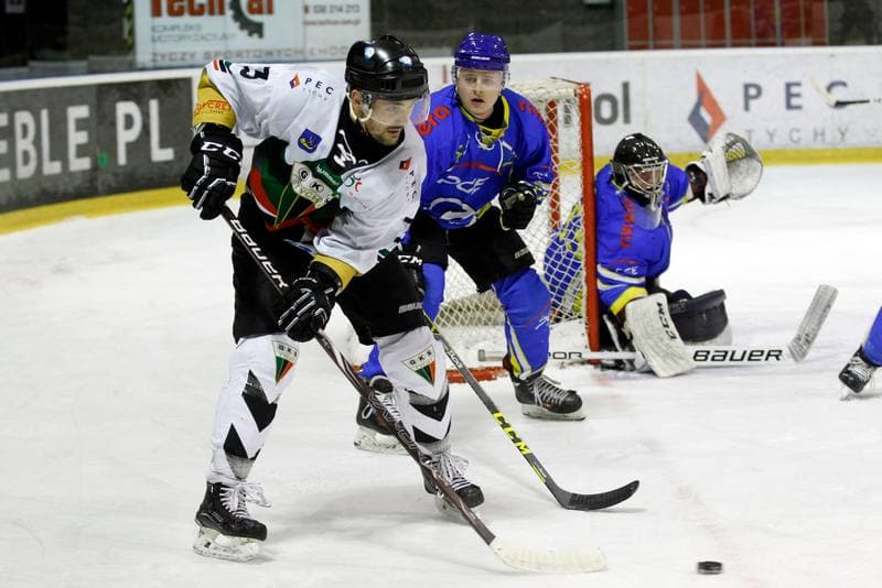 Ice Hockey. Polska Hokej Liga. GKS Tychy - PGE Orlik Opole. 13.01.2019
