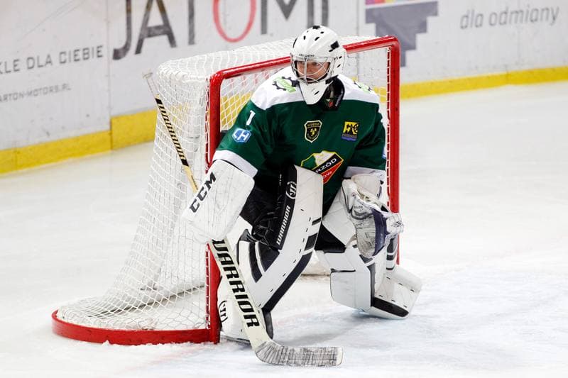 Ice Hockey. Tauron Hokej Liga. Tauron KH GKS Katowice - Anteo Naprzod Janow. 03.11.2017