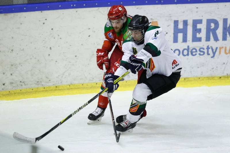 Ice Hockey. Polska Hokej Liga. Naprzod Janow - Zaglebie Sosnowiec. 23.02.2019