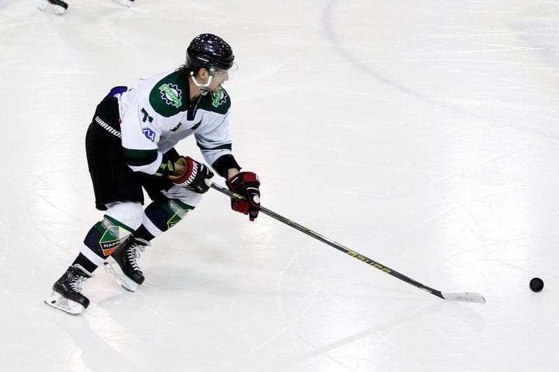 Ice Hockey. Polska Hokej Liga. Anteo Naprzod Janow - PGE Orlik Opole. 20.02.2018