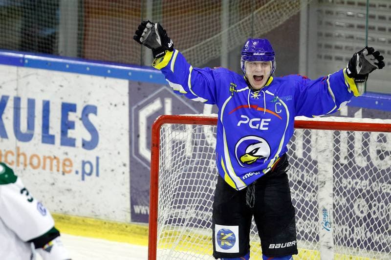 Ice Hockey. Polska Hokej Liga. Naprzod Janow - Orlik Opole. 01.03.2019