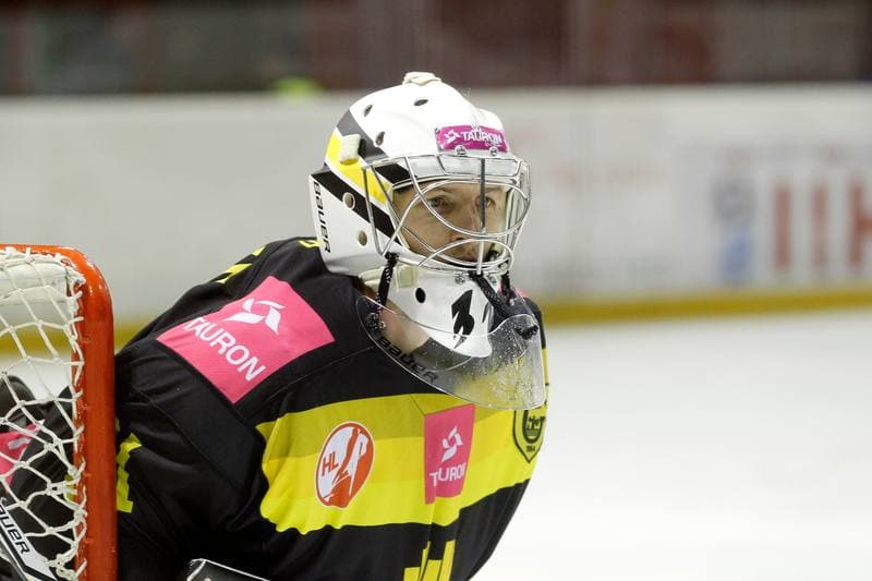 Ice Hockey. Polska Hokej Liga. GKS Tychy - Tauron KH GKS Katowice. 19.11.2017