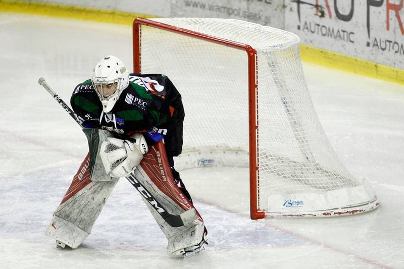 Ice Hockey. Tauron Hokej Liga. Anteo Naprzod Janow - GKS Tychy. 26.01.2018