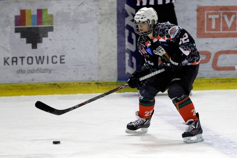 Ice Hockey. PLHK. Naprzod Janow - Atomowki Tychy. 03.02.2018