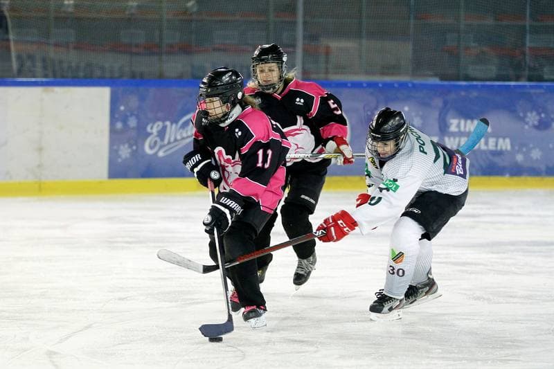 Ice Hockey. PLHK. Naprzod Janow - Kozice Poznan. 11.02.2018