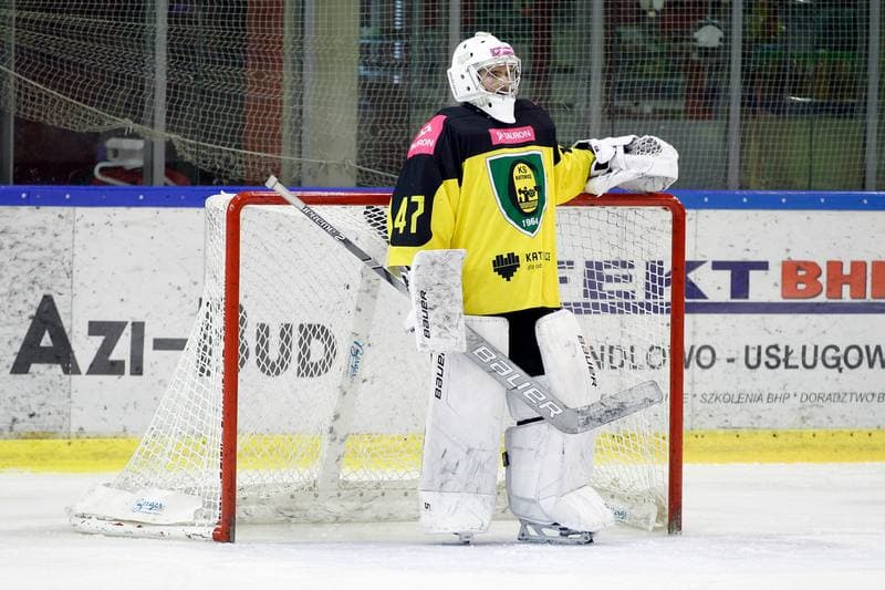 Ice Hockey. Polska Hokej Liga. Tauron KH GKS Katowice - PGE Orlik Opole. 30.12.2018