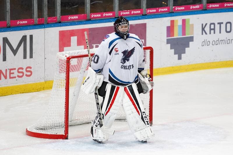 Ice Hockey. Polska Hokej Liga. SMS PZHL Katowice - TatrySKI Podhale Nowy Targ. 26.10.2017