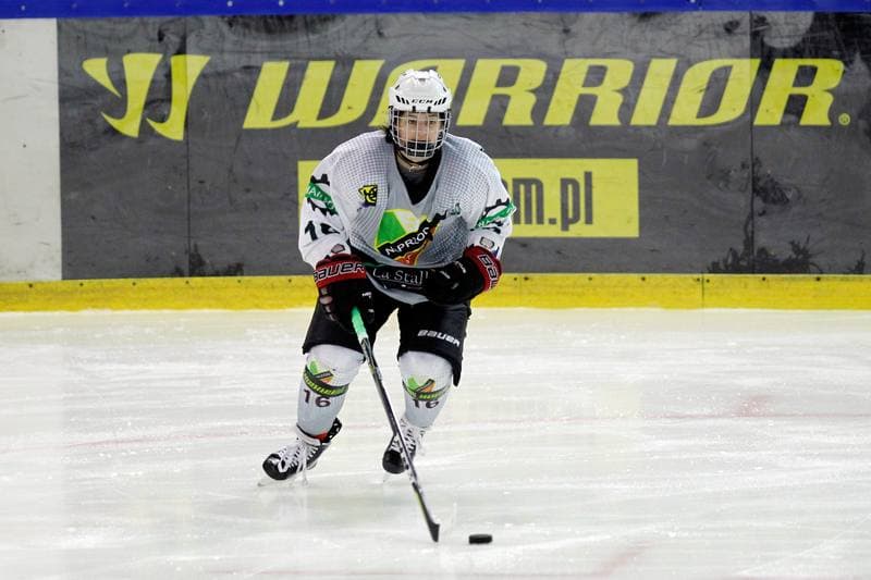 Ice Hockey. PLHK. Naprzod Janow - Unia Oswiecim. 20.01.2018