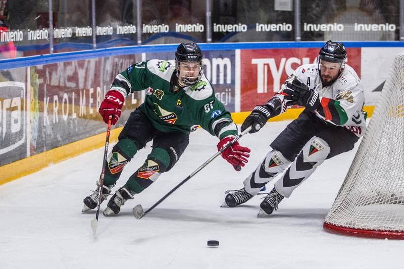 Ice Hockey. PHL. GKS Tychy - Naprzod Janow. 19.01.2020