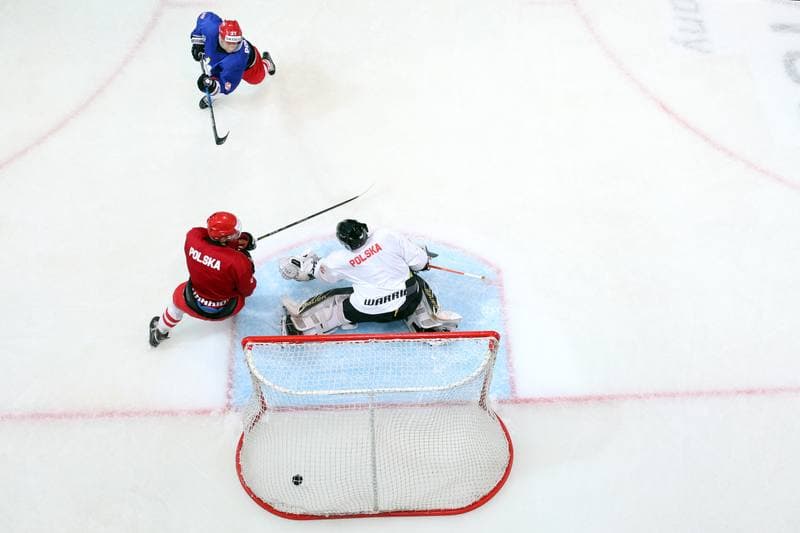Ice Hockey. Poland national team. Training. 20.08.2018