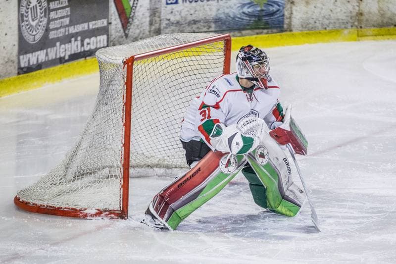 Ice Hockey. PHL. Zaglebie Sosnowiec - Comarch Cracovia. 31.01.2020