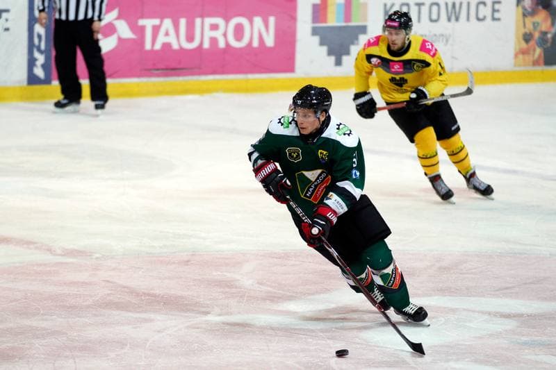 Ice Hockey. Tauron Hokej Liga. Tauron KH GKS Katowice - Anteo Naprzod Janow. 02.02.2018