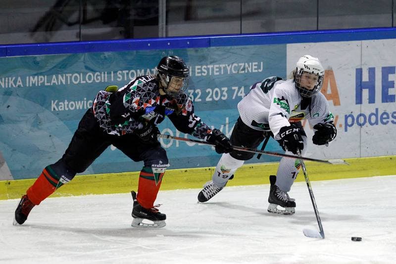 Ice Hockey. PLHK. Naprzod Janow - Atomowki Tychy. 03.02.2018