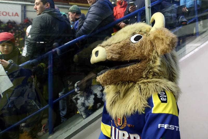 Ice Hockey. WSM Liga. HC Zubr Prerov - Rytiri Kladno. 07.02.2018