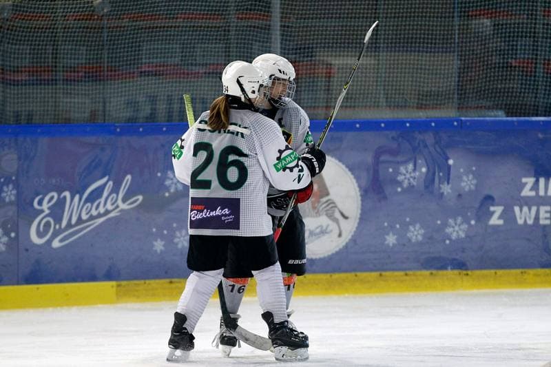Ice Hockey. PLHK. Naprzod Janow - Kozice Poznan. 11.02.2018