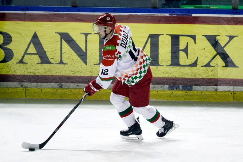 Ice Hockey. Polska Hokej Liga. Zaglebie Sosnowiec - PGE Orlik Opole. 04.12.2018