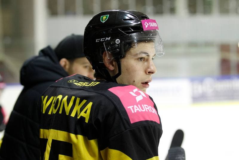 Ice Hockey. Polska Hokej Liga. Tauron KH GKS Katowice - PGE Orlik Opole. 30.12.2018