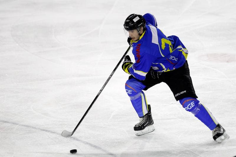 Ice Hockey. Polska Hokej Liga. Zaglebie Sosnowiec - Orlik Opole. 17.02.2019