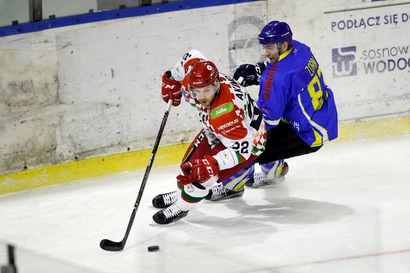 Ice Hockey. Polska Hokej Liga. Zaglebie Sosnowiec - Orlik Opole. 17.02.2019
