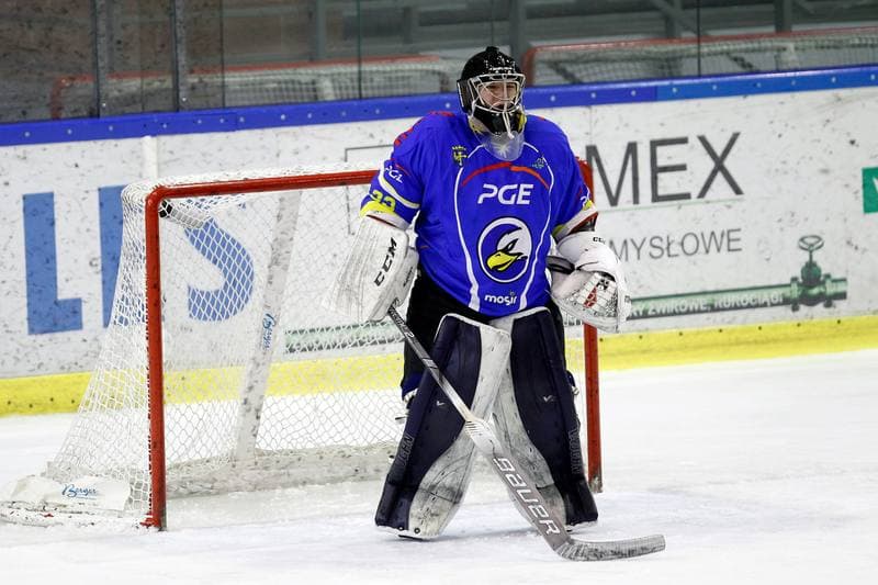 Ice Hockey. Polska Hokej Liga. Naprzod Janow - Orlik Opole. 01.03.2019