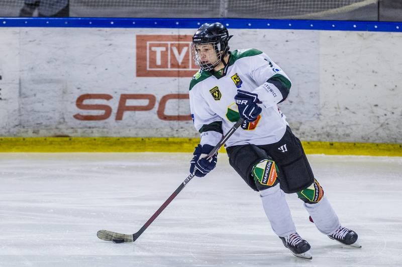 Ice Hockey. PHL. Naprzod Janow - GKS Tychy. 17.11.2019