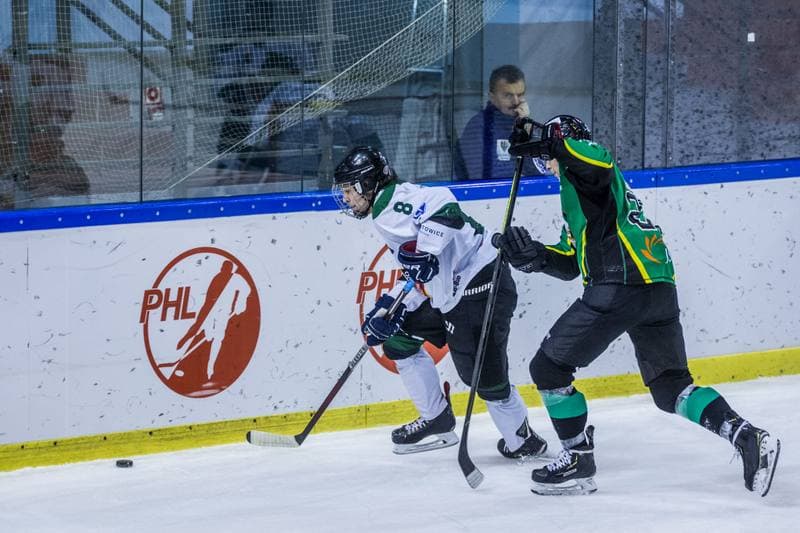 Ice Hockey. PHL. Naprzod Janow - JKH GKS Jastrzebie. 17.01.2020