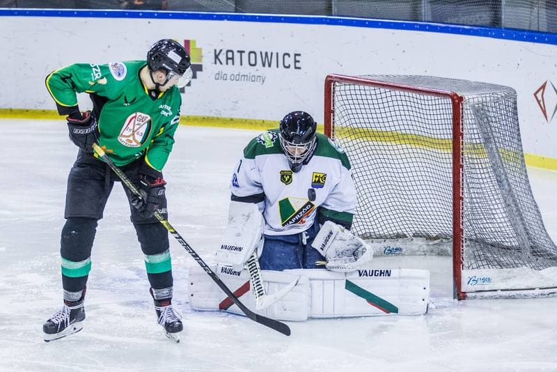 Ice Hockey. PHL. Naprzod Janow - JKH GKS Jastrzebie. 17.01.2020