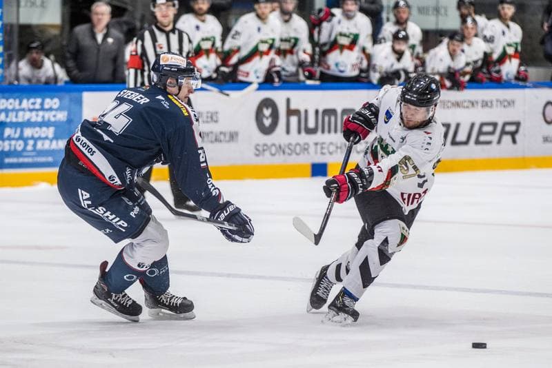 Ice Hockey. PHL. GKS Tychy - Lotos PKH Gdansk. 31.01.2020