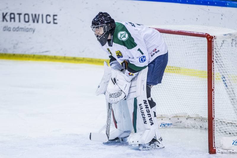 Ice Hockey. PHL. Naprzod Janow - Energa Torun. 31.01.2020