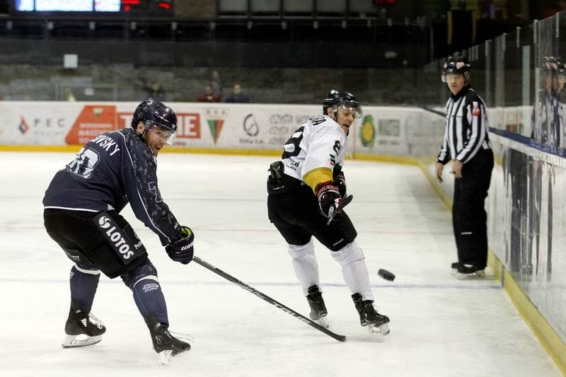 Ice Hockey. Polska Hokej Liga. GKS Tychy - MH Automatyka Gdansk. 16.02.2019