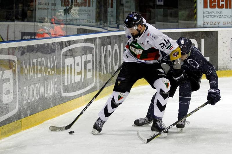 Ice Hockey. Polska Hokej Liga. GKS Tychy - MH Automatyka Gdansk. 16.02.2019
