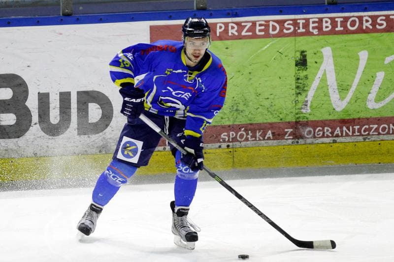 Ice Hockey. Polska Hokej Liga. Zaglebie Sosnowiec - Orlik Opole. 17.02.2019