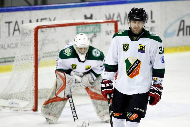 Ice Hockey. Polska Hokej Liga. Naprzod Janow - Zaglebie Sosnowiec. 23.02.2019