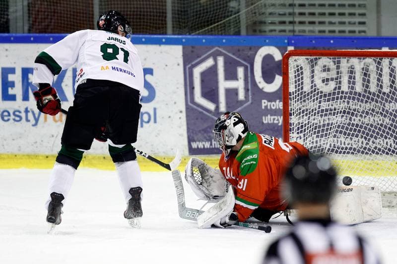 Ice Hockey. Polska Hokej Liga. Naprzod Janow - Zaglebie Sosnowiec. 23.02.2019