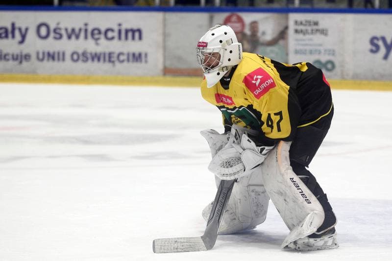 Ice Hockey. Polska Hokej Liga. Unia Oswiecim - Tauron KH GKS Katowice. 02.03.2019