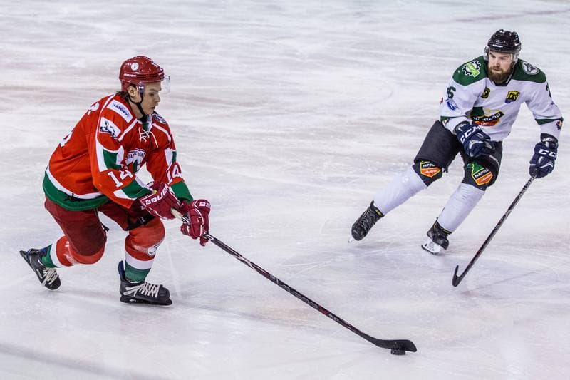 Ice Hockey. PHL. Naprzod Janow - Zaglebie Sosnowiec. 03.11.2019