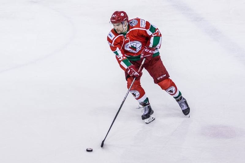 Ice Hockey. PHL. Naprzod Janow - Zaglebie Sosnowiec. 03.11.2019